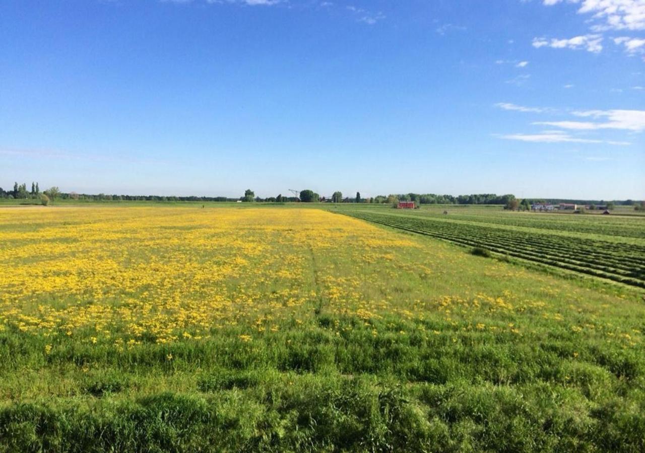 Boretto B&B Antica Cascina المظهر الخارجي الصورة