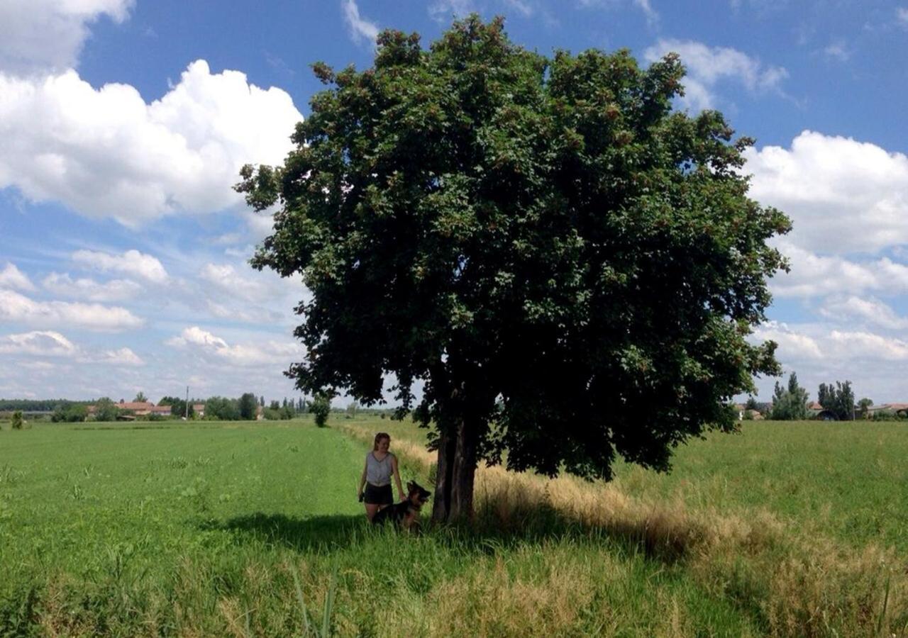 Boretto B&B Antica Cascina المظهر الخارجي الصورة